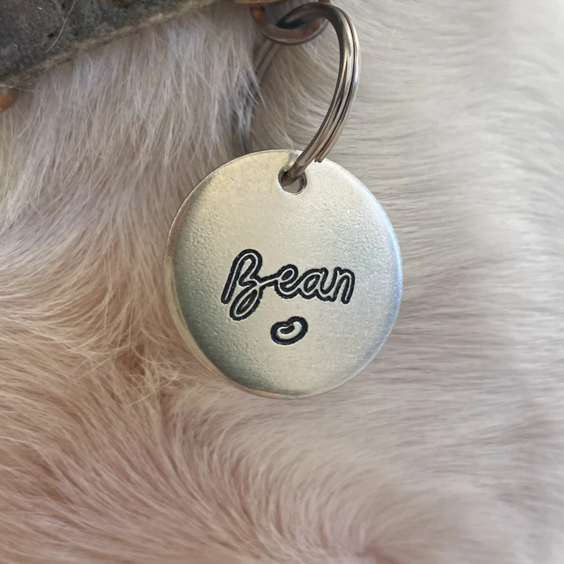 Dog collar tag shop engraving