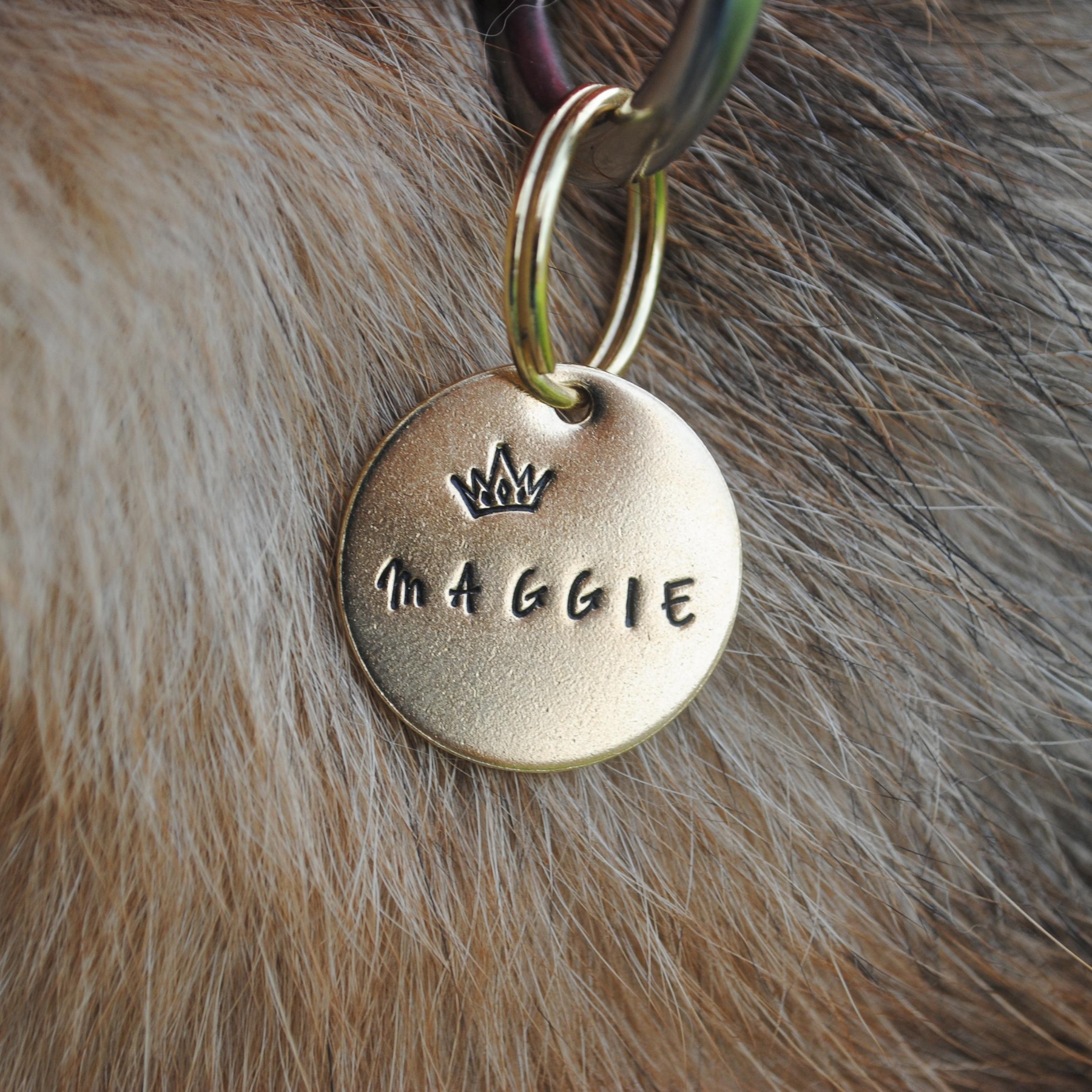 Dog collar tag clearance maker