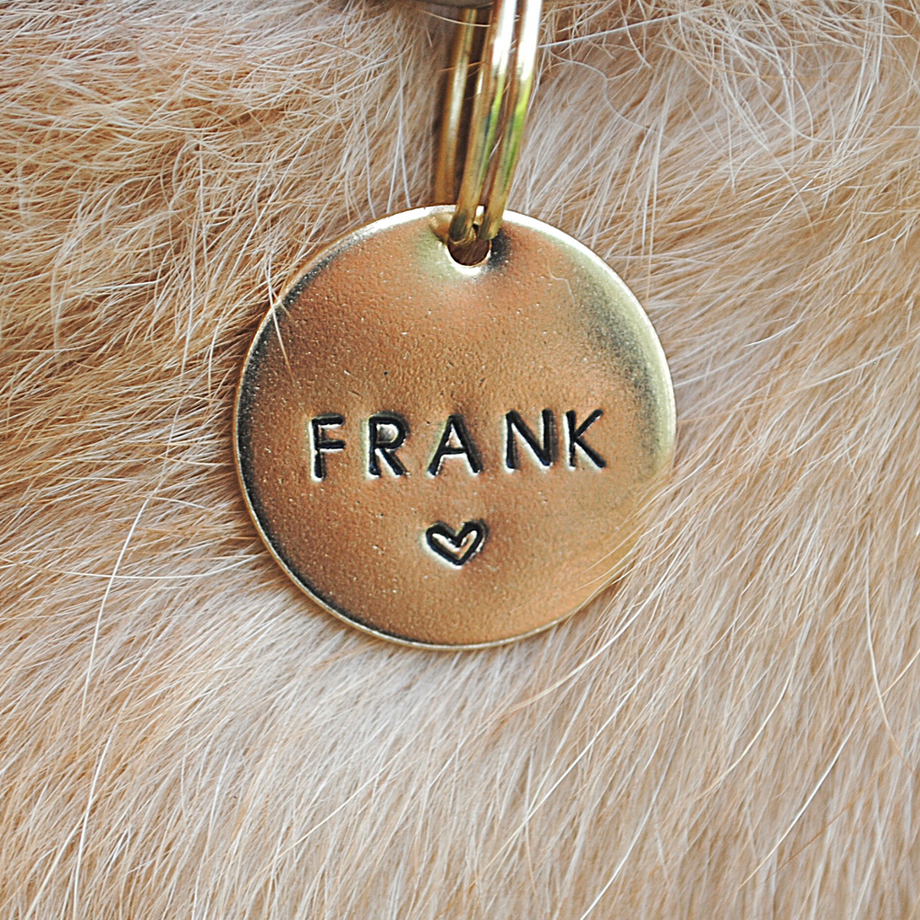 Designer dog tags for dogs best sale